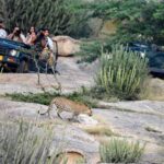 Jawai Jungle Safari