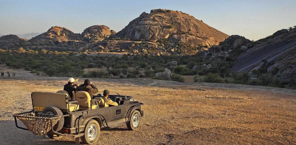 Jawai Jungle Safari