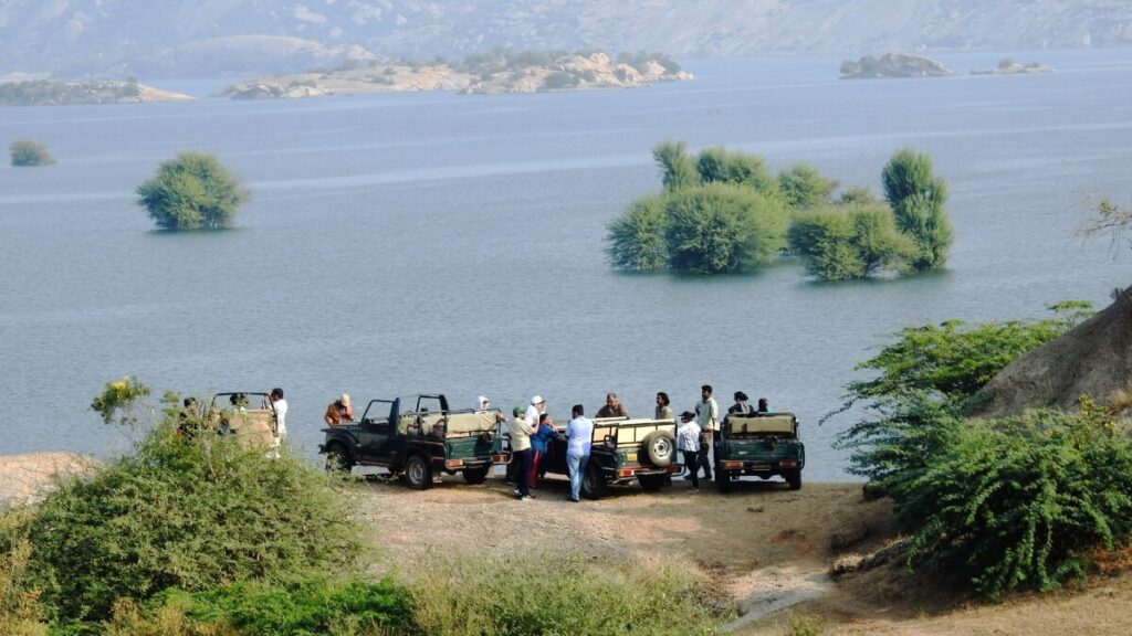 Leopard Safari Tour India